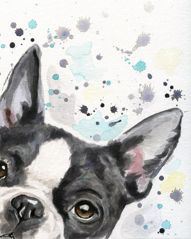 Boston Terrier Dog Artwork Wall Art Print