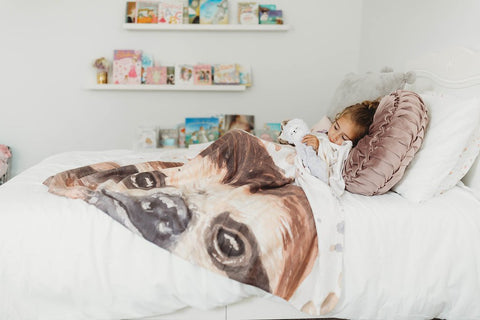 Sloth Blanket - Sloth Gift 