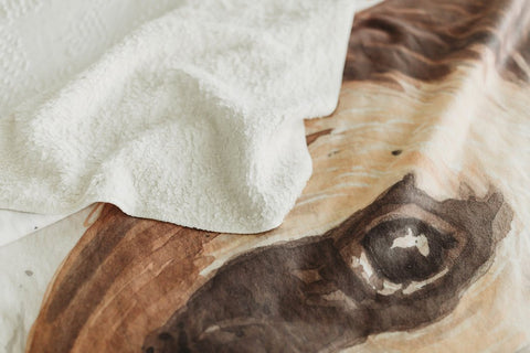 Sloth Blanket - Sloth Gift 